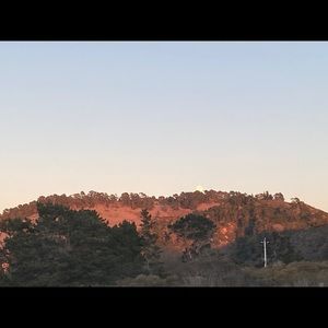 Meet your Posher, Monika